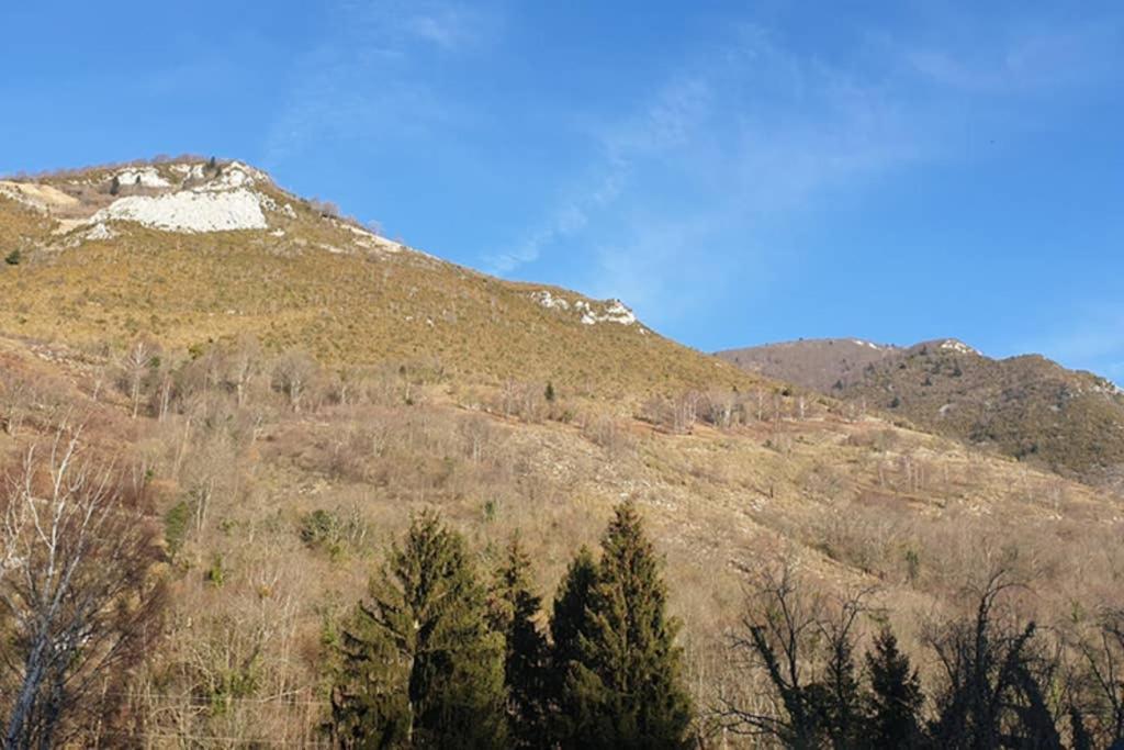 Appartement Cosy Au Pied Du Tourmalet Campan Eksteriør bilde